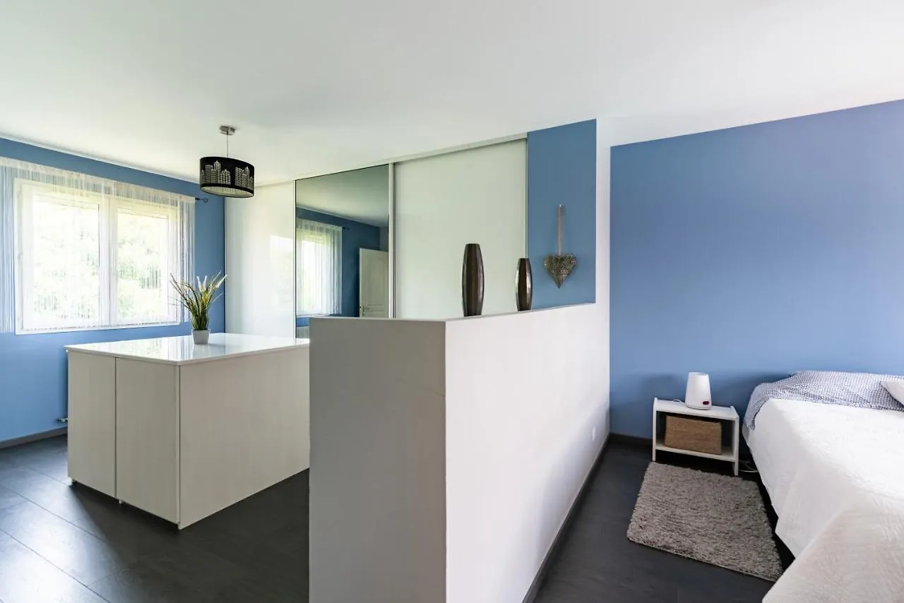 Vila Signoret - Belle Maison Avec Piscine Toulouse Prázdninový dům